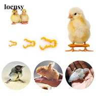 Ioensy 15 Pieces Chicken Hobble Braces Baby Chick Leg Hobbles Reusable for Canaries