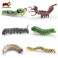 LAHOMIA 6 3D Simulation Larvae Models, Educational Model Decor, Miniature Layout, Caterpillar Toy, C