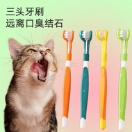 Pet Dog Toothbrush Three-Head Toothbrush Pet Toothbrush Cat Toothbrush Cat Dog Oral Cleaning