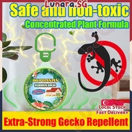 🛒SG stock🛒Lizard repellent Plant extraction Gecko killer Gecko trap Gecko repellent Lizard trap box 