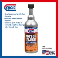 CYCLO MOTOR FLUSH (C19)