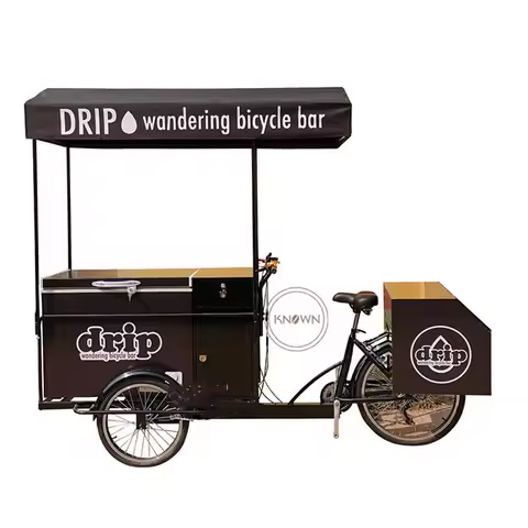 3 Wheel Electric Bike 250w Cargo Adult Tricycle Food Cart Refrigerator Ice Cream Food Bike with Cust