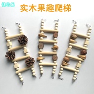 Stainless Steel Solid Wood Fruit Climbing Ladder Customizable Xuanfeng Tiger Skin Peony Parrot Finch Bite Toy