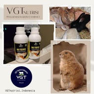 Termurah!!! VGT nutrisi Kelinci Marmut Hamster Vitamin Penggemuk Pedaging Hias organik