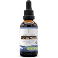 Secrets of the Tribe Yerba Mate USDA Organic Tincture | Alcohol-Free Extract, High-Potency Herbal Dr
