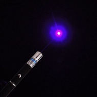 Pointer Pen Visible Powerful Portable Purple Blue Beam Light Pointer Pen for Home