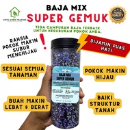 Baja Mix Super Gemuk | Baja Daun Subur dan Hijau | Baja Bunga Lebat dan Besar |