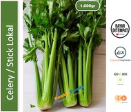 Celery Stick Lokal | Seledri Stick Lokal [ Harga Per KG ]