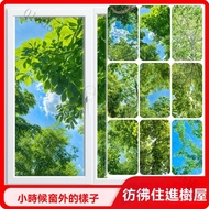 Bathroom Window Film Bathroom Window Film Frosted Glass Sticker Electrostatic Glass Sticker Frosted 