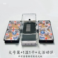 Plant Other Ant Nest Ant Nest German Ant Nest Acrylic Printing Base Bionic Flat Cheap Ant Nest 3d HC