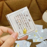 Hockey Turtle - Lucky Turtle - Asakusa