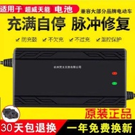Automatic Power-off Two-Wheel Three-Wheel Electric Vehicle Battery Charger 48V 60V 72V 64V 20AH Univ