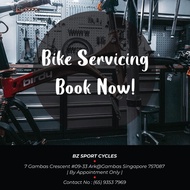 Birdy Service Package (Service, Repair & Upgrade) #Birdy