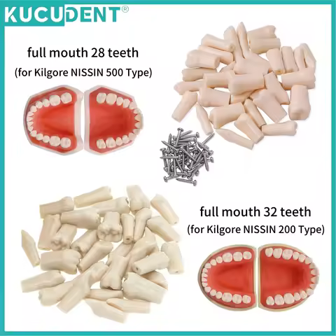 Dental Teeth Model Replacement Typodont Screw-in Teeth fit NISSIN 500/200 Type Models Resin Denture 