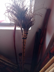 Rotan Songsang Koleksi Rare