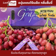 องุ่นแดงไร้เมล็ดกลิ่นลิ้นจี่ พรีเมี่ยม Gua Gua 4.5 กก. หวานหอม ช่อใหญ่ กรอบมาก