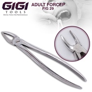 GIGI Tools Tooth Extracting Forceps FIG 29 Adult Forceps For Professional Dentists Stainless CE