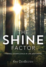 The Shine Factor Kris DenBesten
