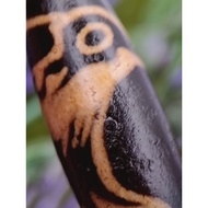 💥Ready Stock💥 39.6mm X 12.4mm 老矿 神鹰天珠 Condor New Dzi CW3343