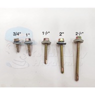 Self Drilling Screw DS-HW Hex Head Roofing Awning Screw for Metal/ Hex Self Drilling Screw C/W Washe