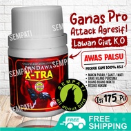 SEMPATI Pandawa X-Tra Xtra Ekstra Vitamin Obat Jamu Ayam Jago Laga Aduan Petarung Obat Pil Kapsul Ay