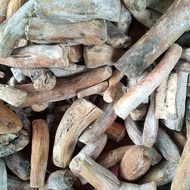 SINGKONG GATOT BERAT 2 KG / SINGKONG GATOT BERAT 2 KG