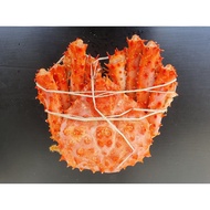 冷冻帝王蟹Alaska Frozen King Crab (600g-2kg up) (Klang Valley only)