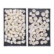 8.9-Temporary Temporary Crown Temporary Teeth Oral Porcelain Teeth Temporary Crown Teeth Tablets Tee