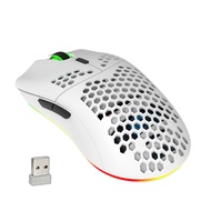 HXSJ T66 RGB 2.4G Wireless Gaming Mouse RGB Lighting Charging Mouse with Adjustable DPI Ergonomic De