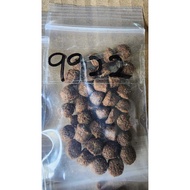 Hong Lee 9922 [5kg] Fish Feed Floating Pellet