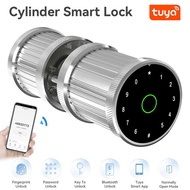 Clemmiepn Tuya Door Lock Spherical Fingerprint and Touchscreen for Airbnb Offices Homes Protection