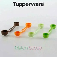 Melon Scoop (1)