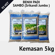 PROMO / TERMURAH Benih bibit padi SAMBO ( Srikandi Jumbo ) kemasan 5kg