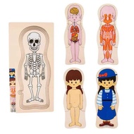 Human Body Puzzle For Kids Anatomy Play Set Educational Anatomy Jigsaw Learning Toys Montessori