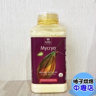 [Grapefruit Baking Ingredients] France Cacao Barry Cocoa Butter Powder 100g Sub-Packing 100%