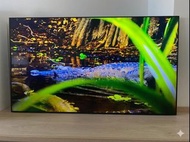 Samsung 三星 85 吋 Crystal UHD 智慧電視 (型號：UA85TU8000JXXZ)