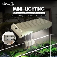 โคมไฟตู้ปลา ตู้กุ้ง Mini-Lighting  สำหรับตู้ 9-12 นิ้ว เพิ่มแสงสว่างให้กับตู้ปลา ตู้กุ้ง และไม้น้ำได