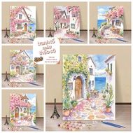 Sawg-stretched frame-32*40/40*50cm/50-60cm-digital painting-digital coloring painting-by-number pain