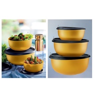 55th Tupperware Anniversary Set