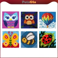 [PETSOLA] Latch Hook Crochet Yarn , diy work Crocheting Rug Yarn Cushion Embroidery Carpet Sets, 11.