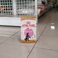 🤞 Promo Rc Mainecoon Kitten 400gr - Royal Canin Mainecoon