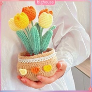  Crochet Pot Flower Desktop Crochet Flower Handmade Colorful Tulip Rose Crochet Flower Decoration Woolen Yarn Desktop Ornament Perfect Birthday Gift Southeast Asian Buyers