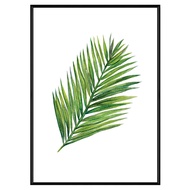 花草生活—黃椰子