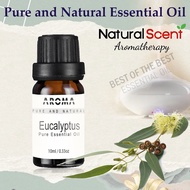 Eucalyptus Pure Essential Oil (10ml) Aromatherapy Oil for Skin Care, Hair Care, Bath,  Humidifier, D