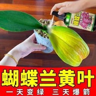 有機肥 花肥 開花肥 肥料 氮磷鉀 磷鉀肥 磷酸二氫鉀 蝴蝶蘭營養液促花催劍拯救黃葉跟腐蝴蝶蘭花苗肥料營養液免稀釋