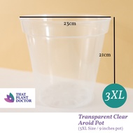 Transparent Clear Aroid Pot (3XL Size / 9 inches pot) (Diameter 23cm / Height 21cm)