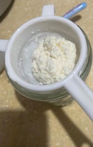 奶克菲爾 Kefir Grains