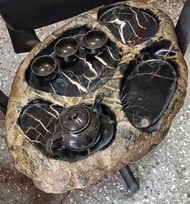 純天然埔里黑胆石原石雕製茶盤一件  物品有重量須自取