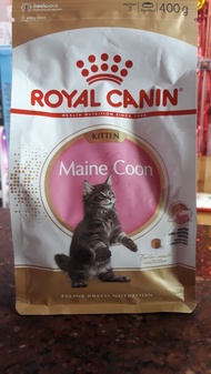 RC MaineCoon Kitten 400 gr