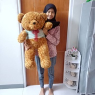 Teddy bear size XL 80 cm